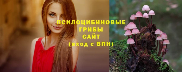 сатива Алексеевка