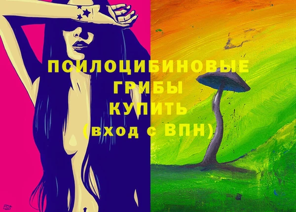 PSILOCYBIN Алзамай