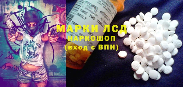 PSILOCYBIN Алзамай