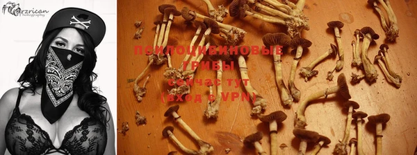PSILOCYBIN Алзамай
