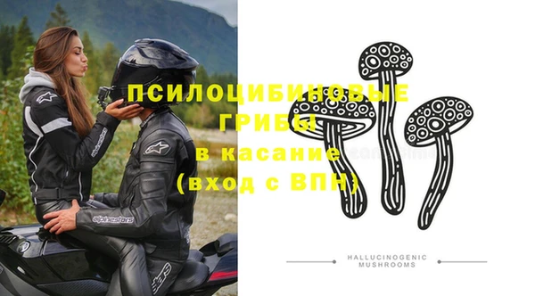 сатива Алексеевка